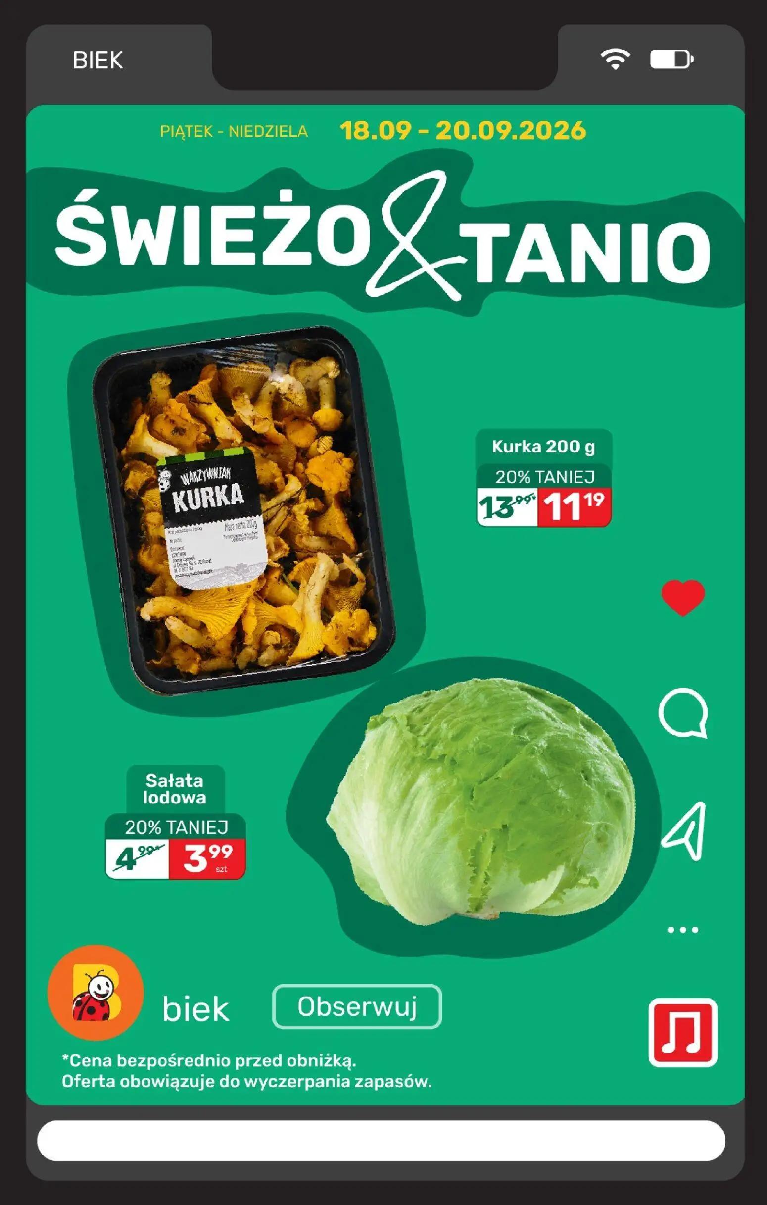 Biedronka gazetka, strona 6 z 25 — Kurka, Sałata lodowa