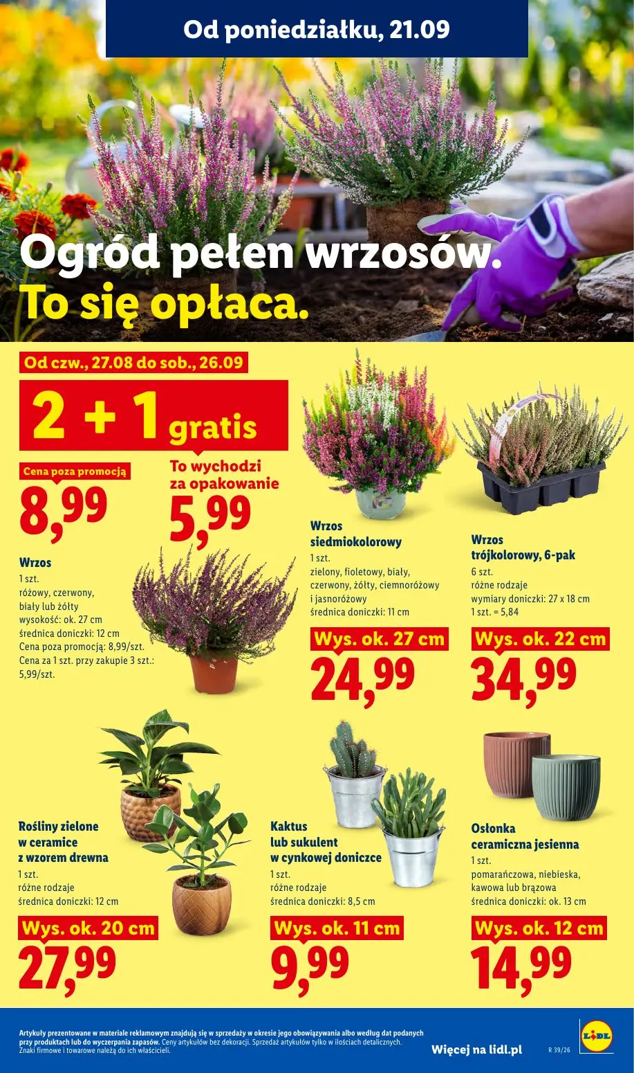 Lidl gazetka, strona 91 z 99 — Wrzos, Wrzos siedmiokolorowy, Wrzos trójkolorowy, 6-pak