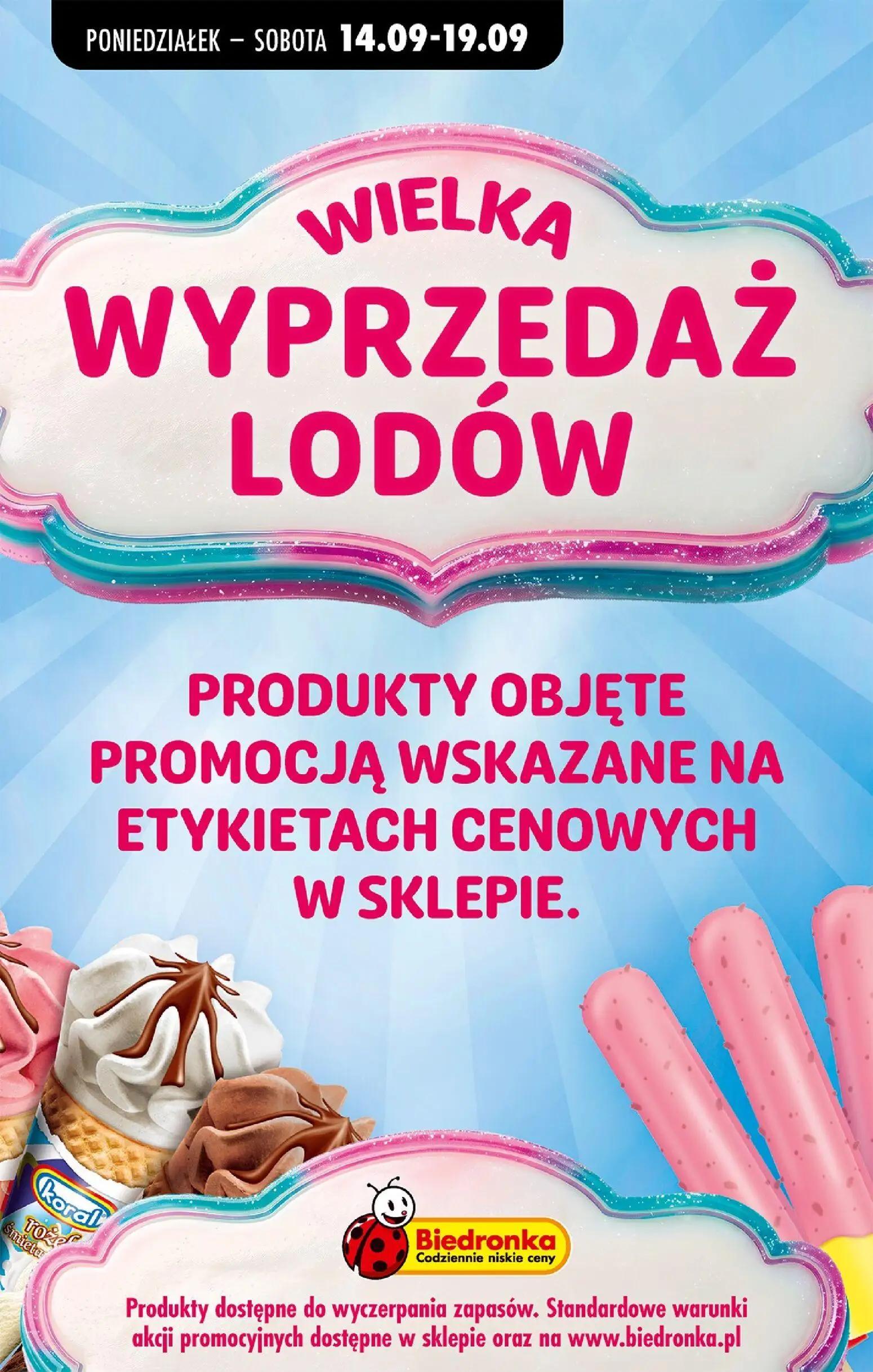 Biedronka gazetka, strona 60 z 101