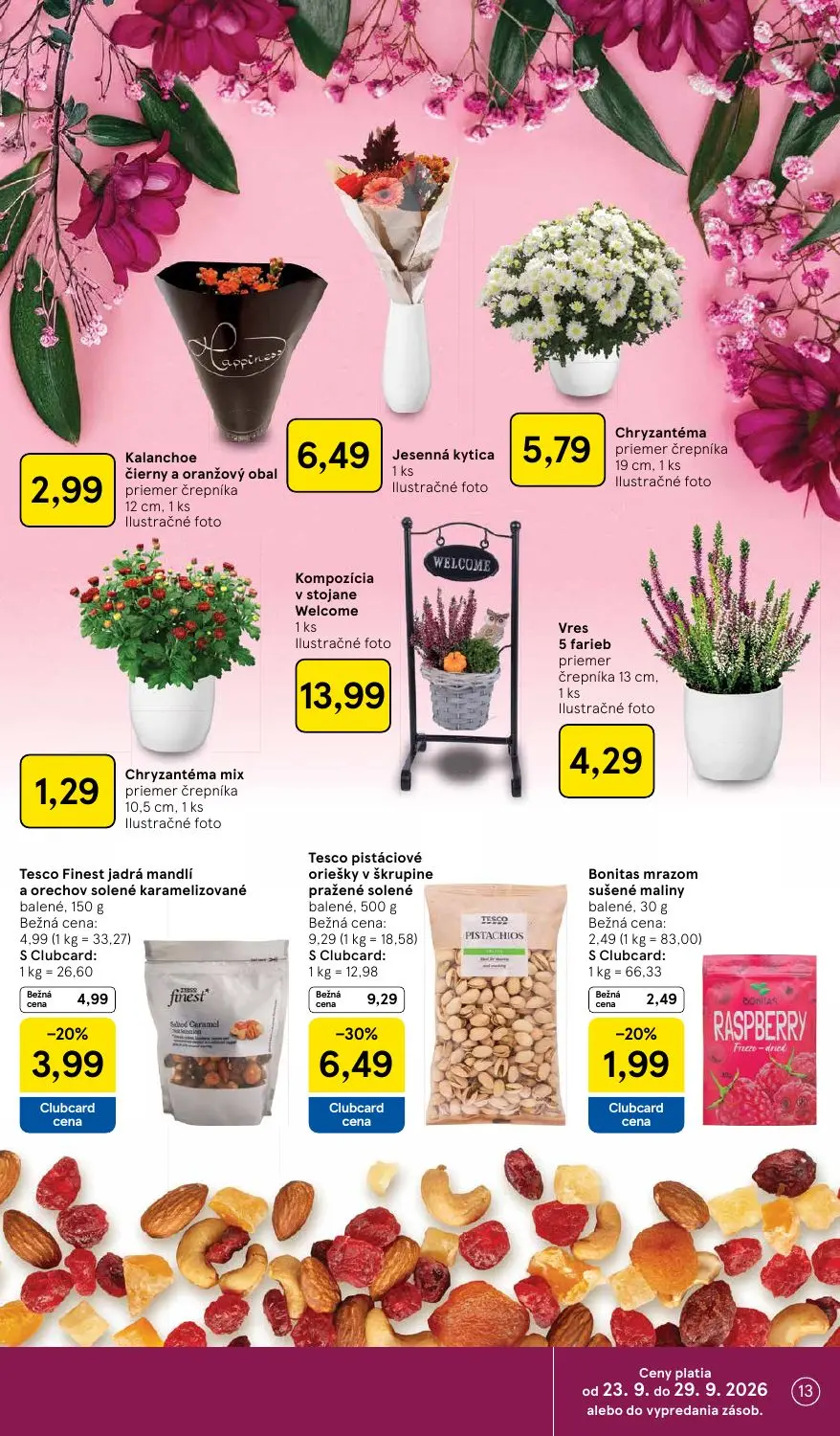 Tesco leták, strana 13 z 48 — Tesco pistáciové oriešky v škrupine pražené solené, Tesco Finest jadrá mandlí a orechov solené…