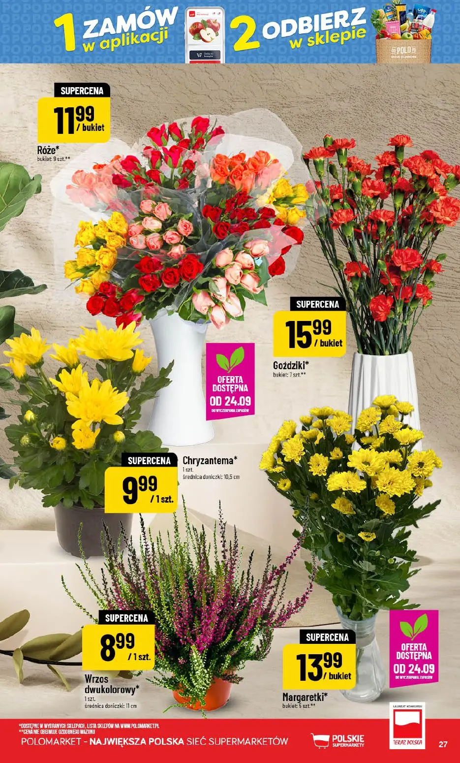 POLOmarket gazetka, strona 27 z 76 — Róże*, Goździki*, Chryzantema*