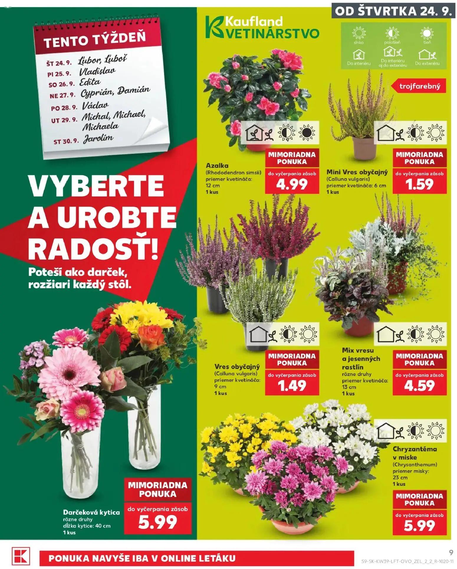 Kaufland leták, strana 9 z 82 — Azalka (Rhododendron simsii), Mini Vres obyčajný (Calluna vulgaris), Vres obyčajný (Calluna …