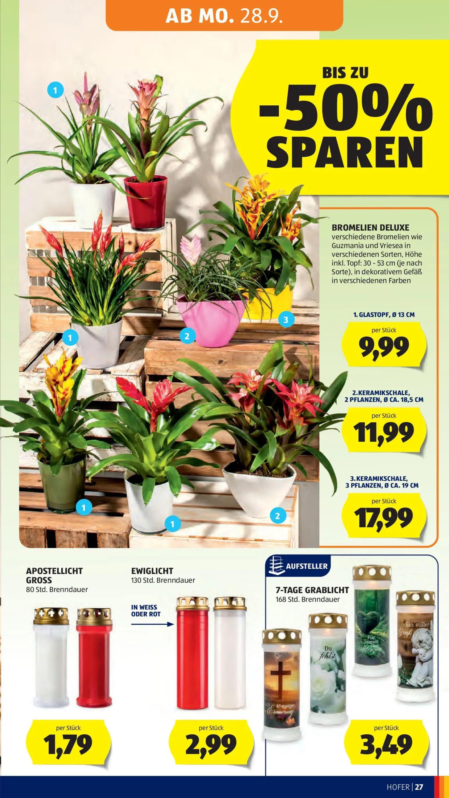 Hofer Prospekt, Seite 35 von 49 — BROMELIEN DELUXE, BROMELIEN DELUXE, BROMELIEN DELUXE