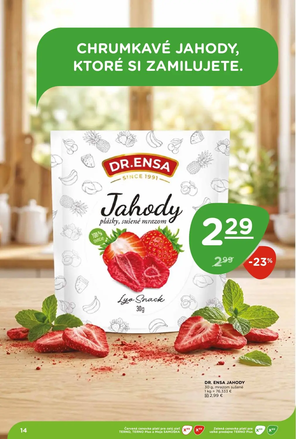 Terno leták, strana 14 z 28 — DR. ENSA JAHODY