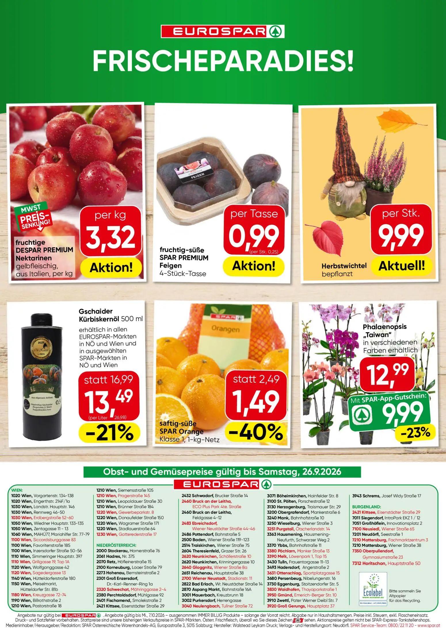 Eurospar Prospekt, Seite 16 von 16 — Gschaider Kürbiskernöl, Phalaenopsis „Taiwan“, SPAR Orange Klasse 1