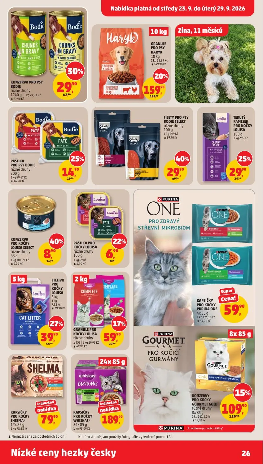 PENNY leták, strana 26 z 37 — GRANULE PRO PSY HARYK, FILETY PRO PSY BODIE SELECT, KONZERVY PRO KOČKY GOURMET GOLD