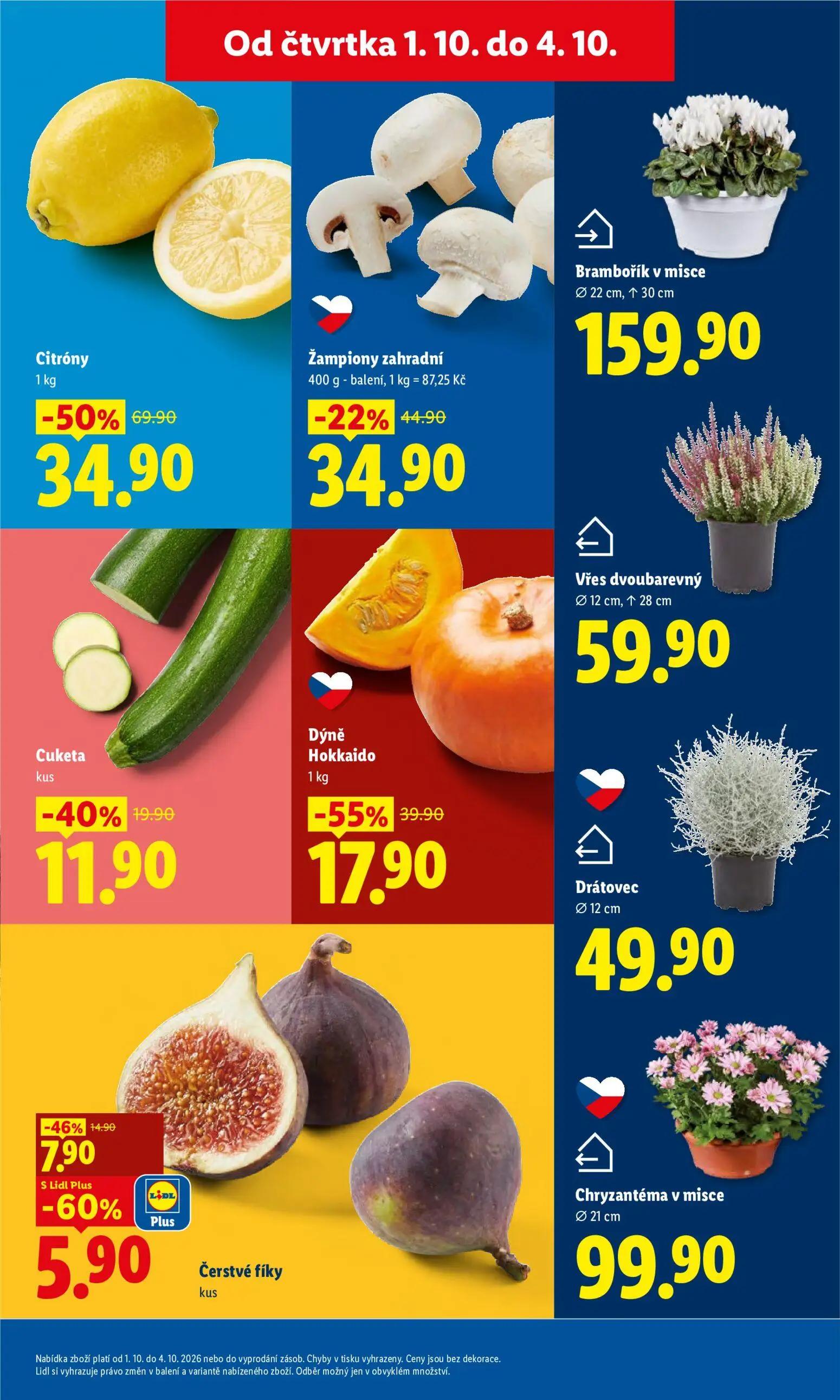 Lidl leták, strana 13 z 55 — Citróny, Dýně Hokkaido, Žampiony zahradní