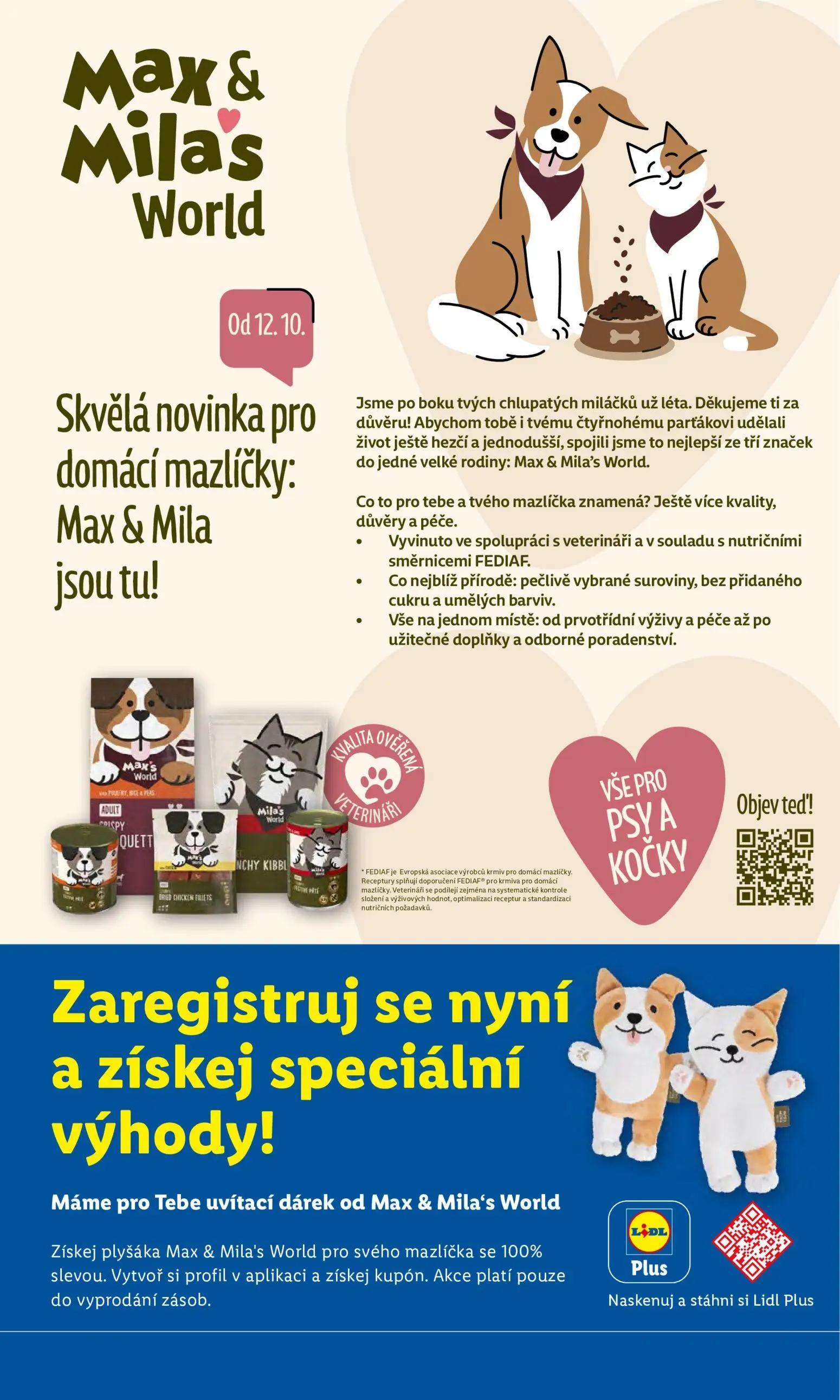 Lidl leták, strana 45 z 55