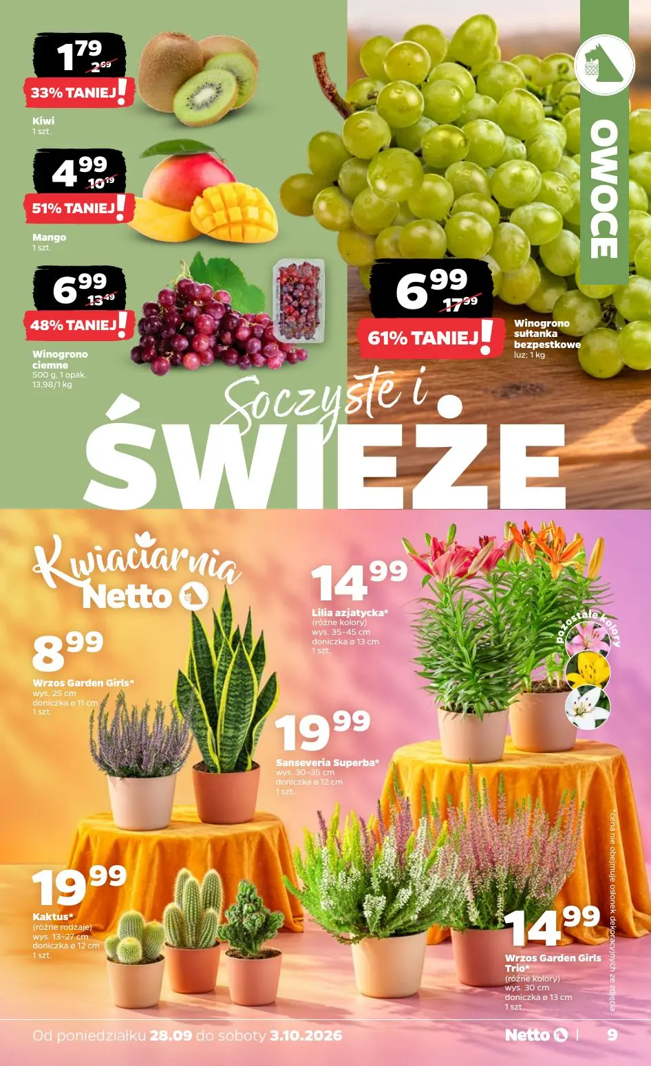 NETTO gazetka, strona 9 z 36 — Winogrono sułtanka bezpestkowe, Winogrono ciemne, Mango