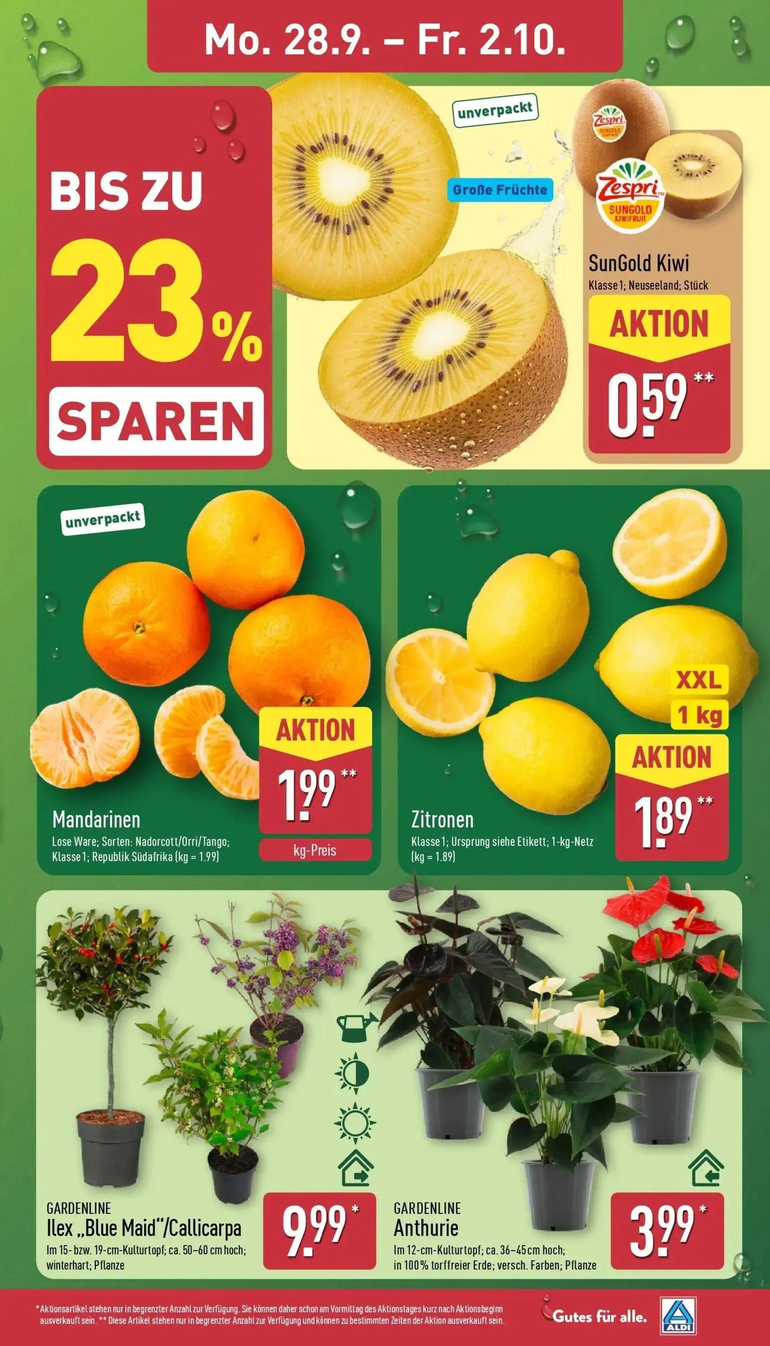 Aldi Nord Prospekt, Seite 3 von 43 — SunGold Kiwi, Mandarinen, Zitronen