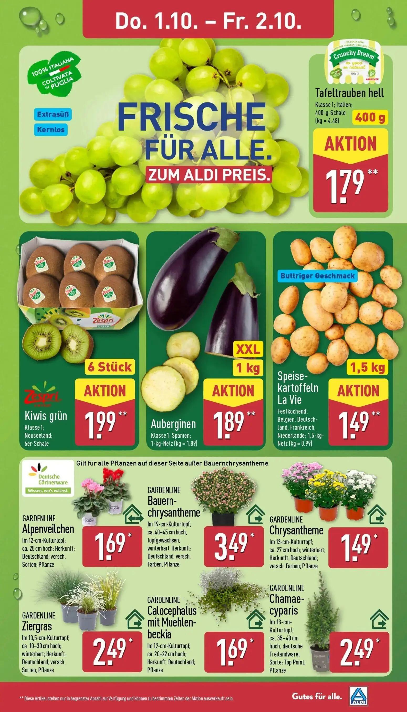Aldi Nord Prospekt, Seite 27 von 43 — Tafeltrauben hell, Kiwis grün, Auberginen