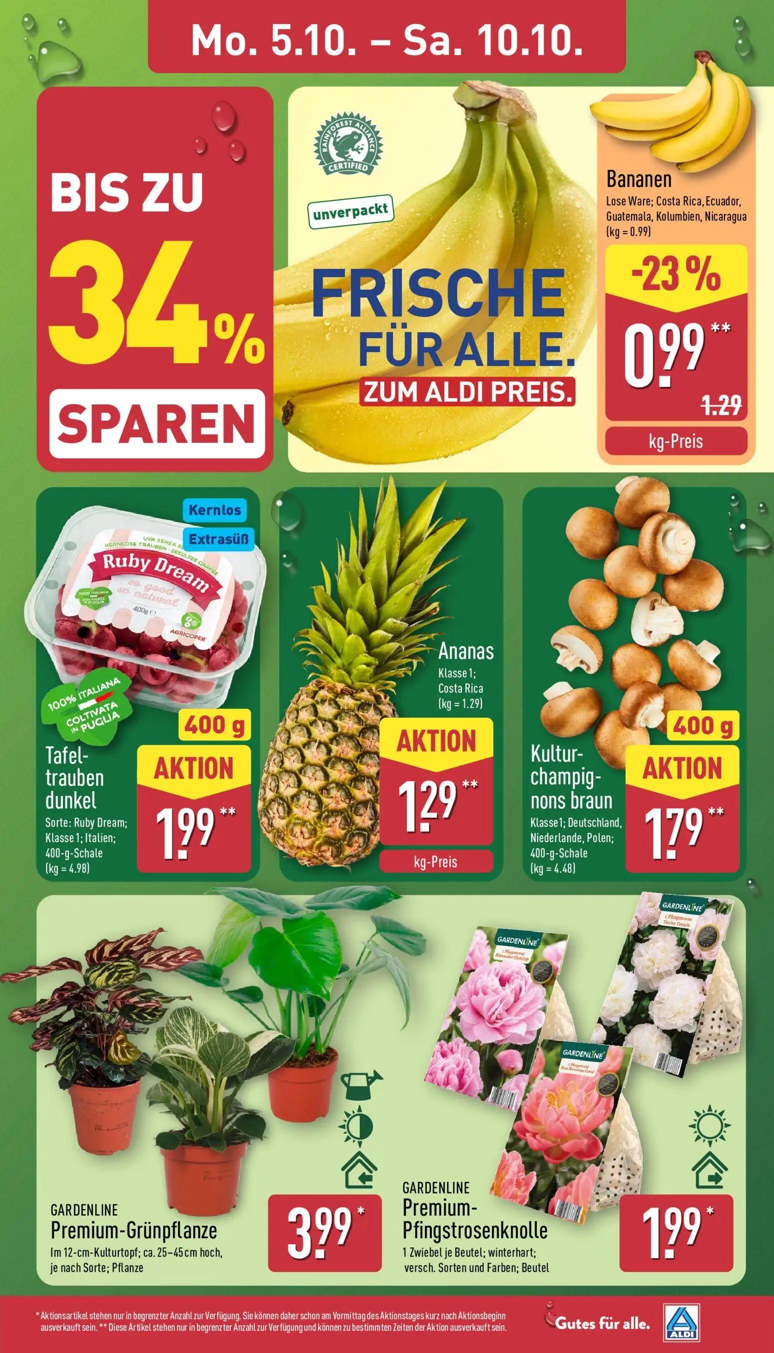 Aldi Nord Prospekt, Seite 3 von 45 — Bananen, Tafeltrauben dunkel Sorte: Ruby Dream; Klasse 1; Italien;, Ananas Klasse 1; Co…