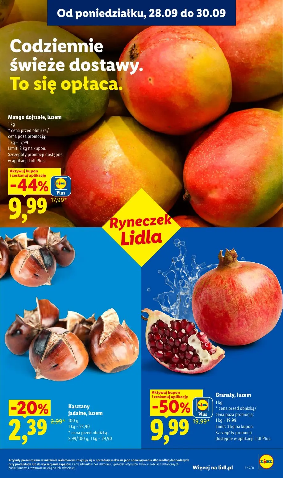 Lidl gazetka, strona 45 z 101 — Granaty, luzem, Mango dojrzałe, luzem, Kasztany jadalne, luzem