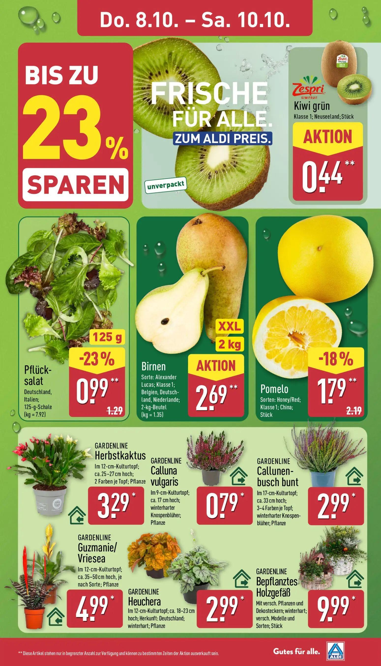 Aldi Nord Prospekt, Seite 29 von 45 — Pomelo, Pflücksalat, Kiwi grün