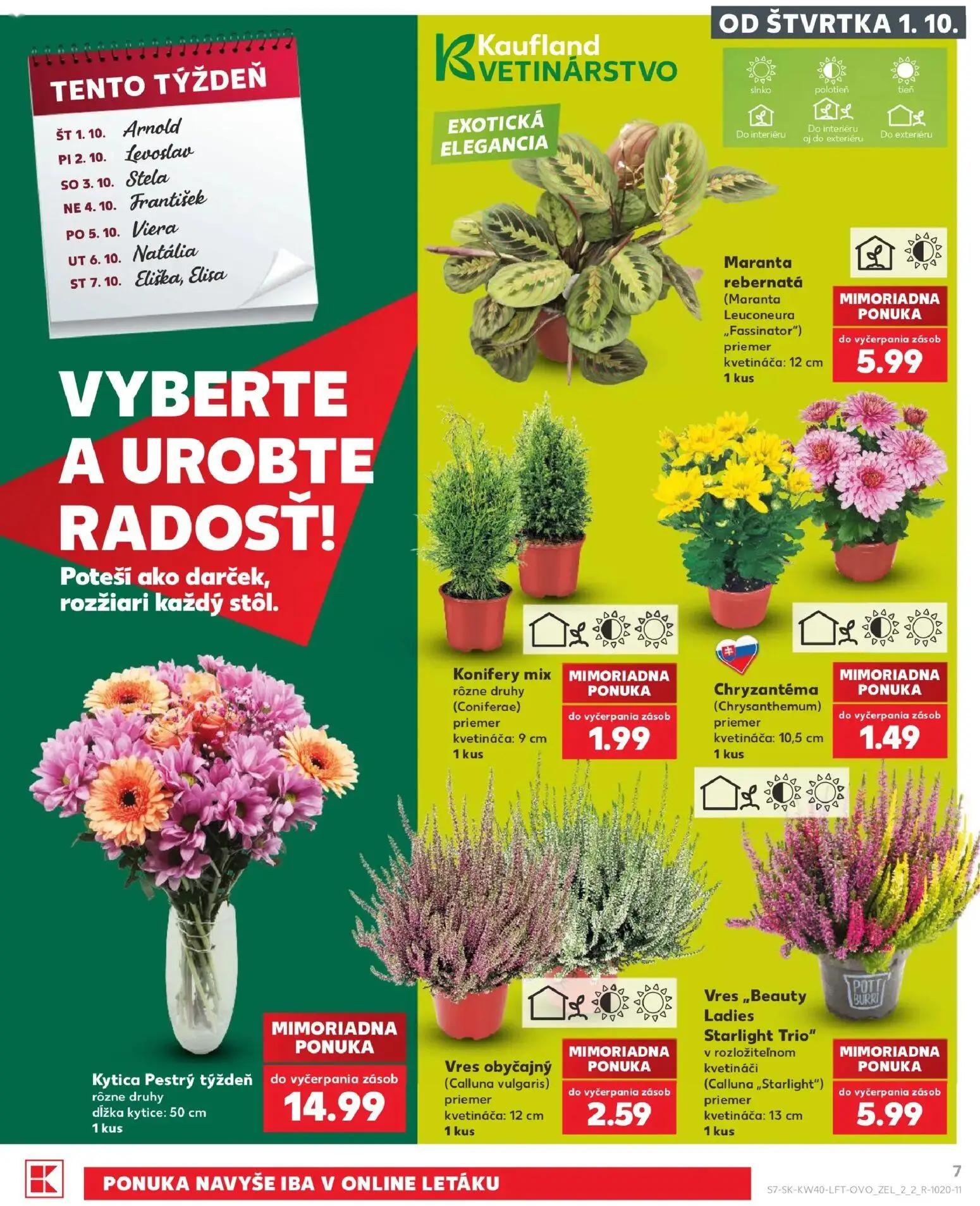Kaufland leták, strana 7 z 76 — Maranta rebernatá (Maranta Leuconeura „Fassinator“), Konifery mix rôzne druhy (Coniferae), C…