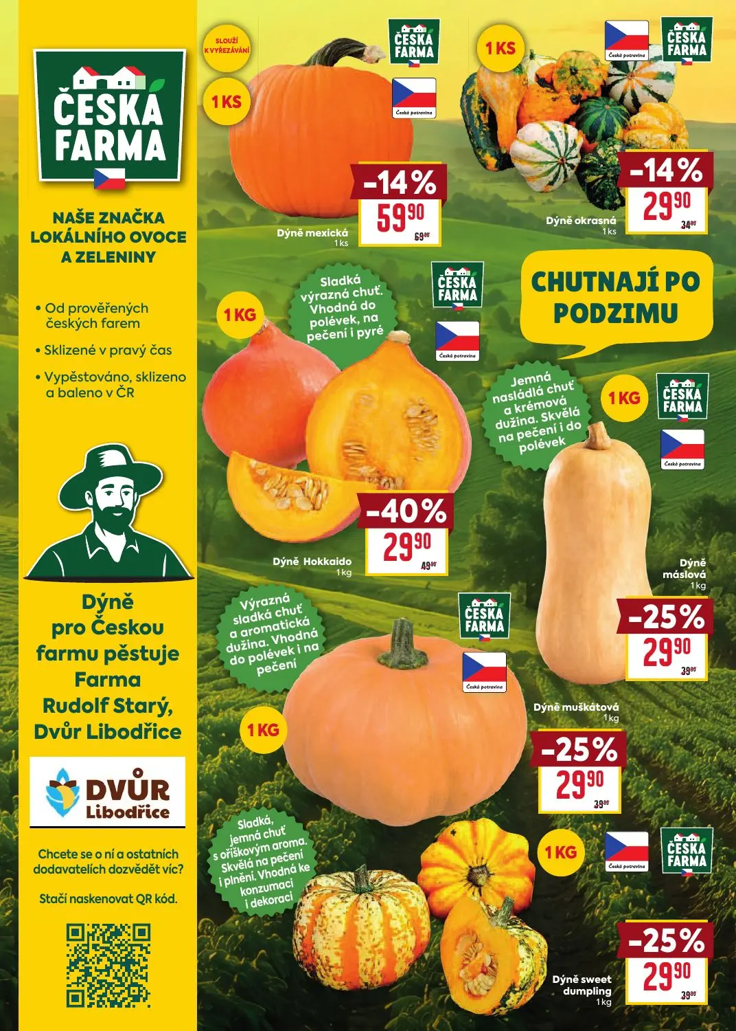 Billa leták, strana 4 z 36 — Dýně Hokkaido, Dýně mexická, Dýně máslová