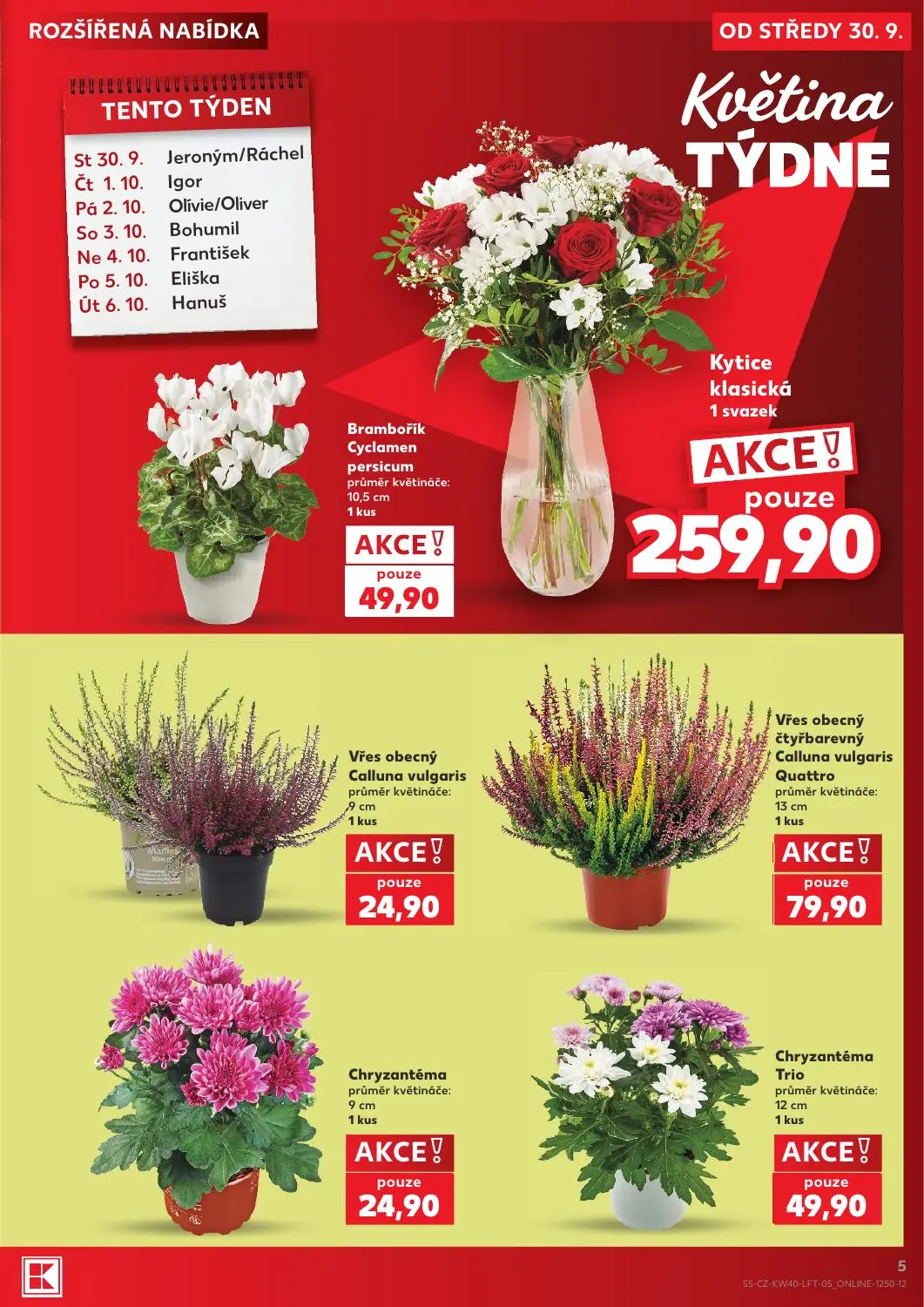 Kaufland leták, strana 5 z 54 — Brambořík Cyclamen persicum, Kytice klasická, Vřes obecný Calluna vulgaris