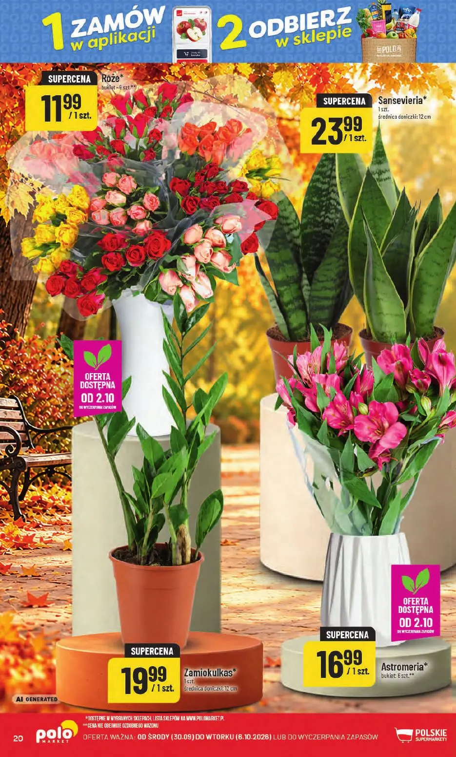 POLOmarket gazetka, strona 20 z 66 — Róże, Sansevieria, Zamiokulkas