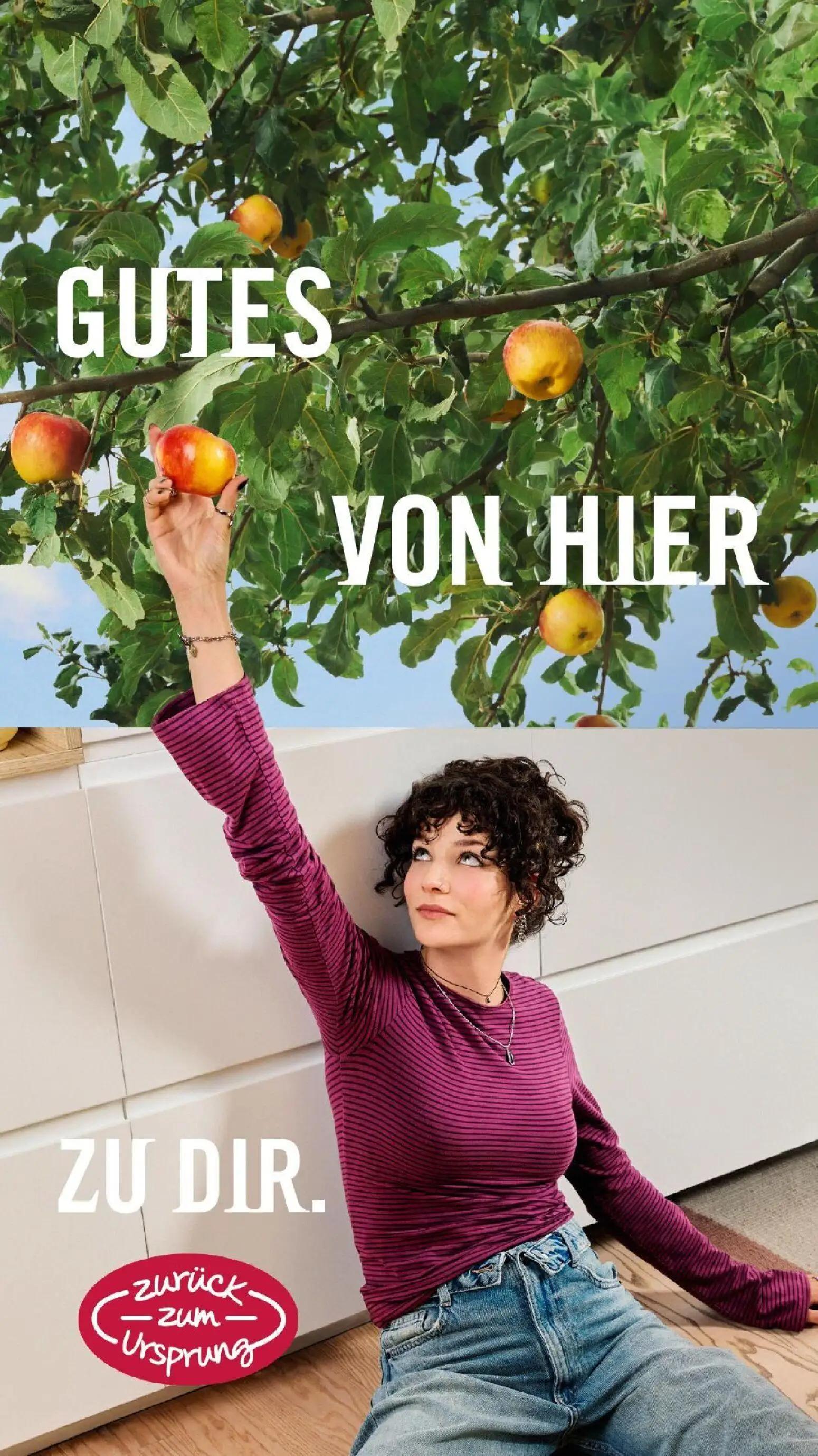 Hofer Prospekt, Seite 51 von 52