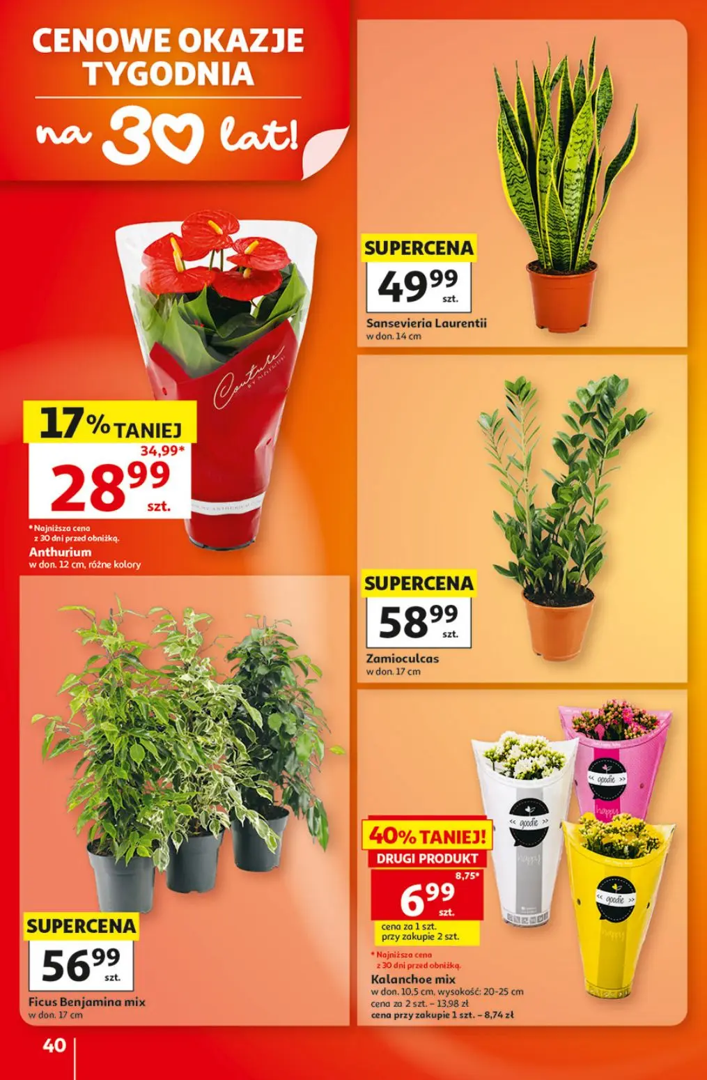 Auchan gazetka, strona 40 z 49 — Anthurium, Kalanchoe mix, Sansevieria Laurentii