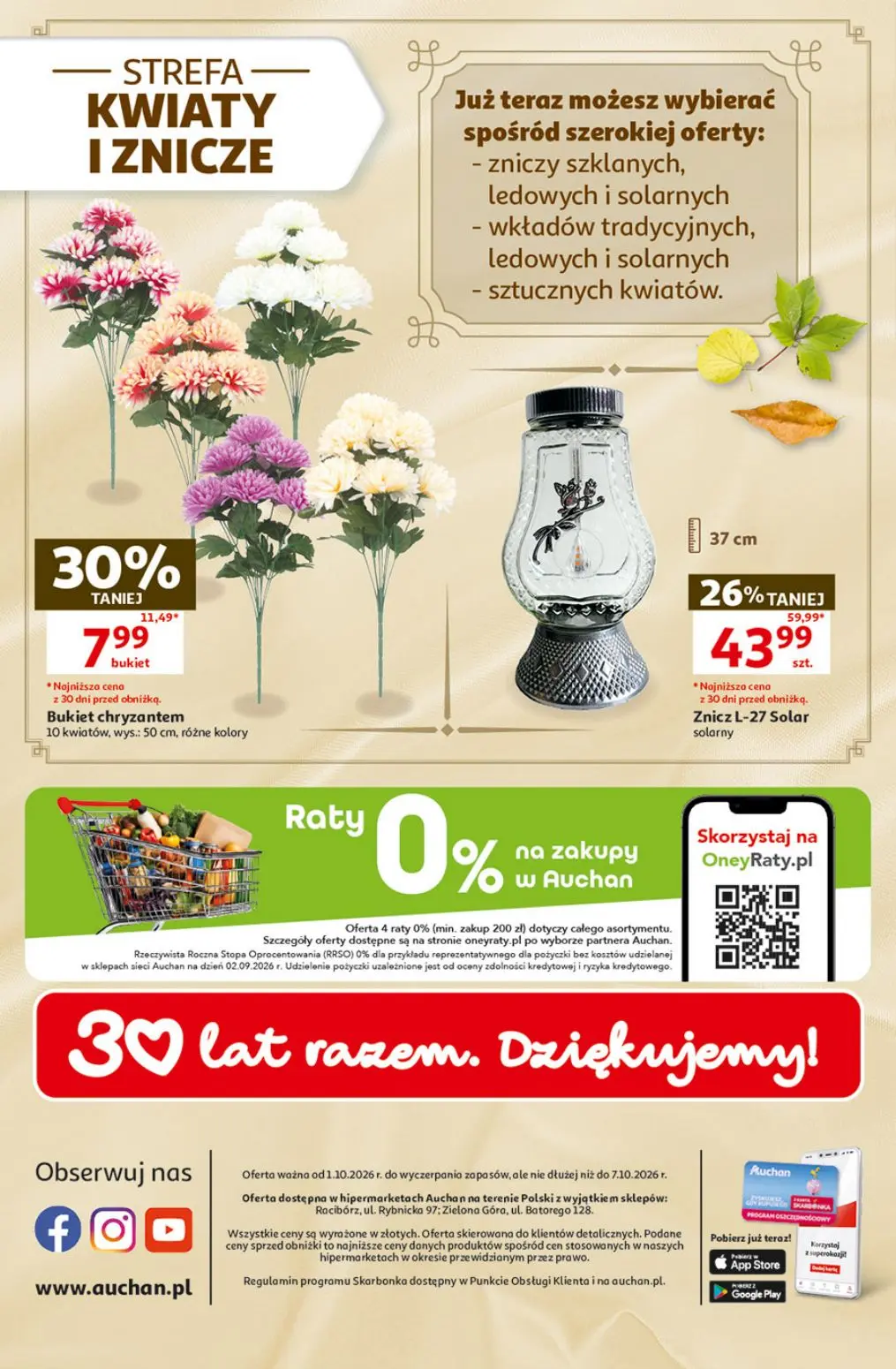 Auchan gazetka, strona 49 z 49 — Znicz L-27 Solar, Bukiet chryzantem