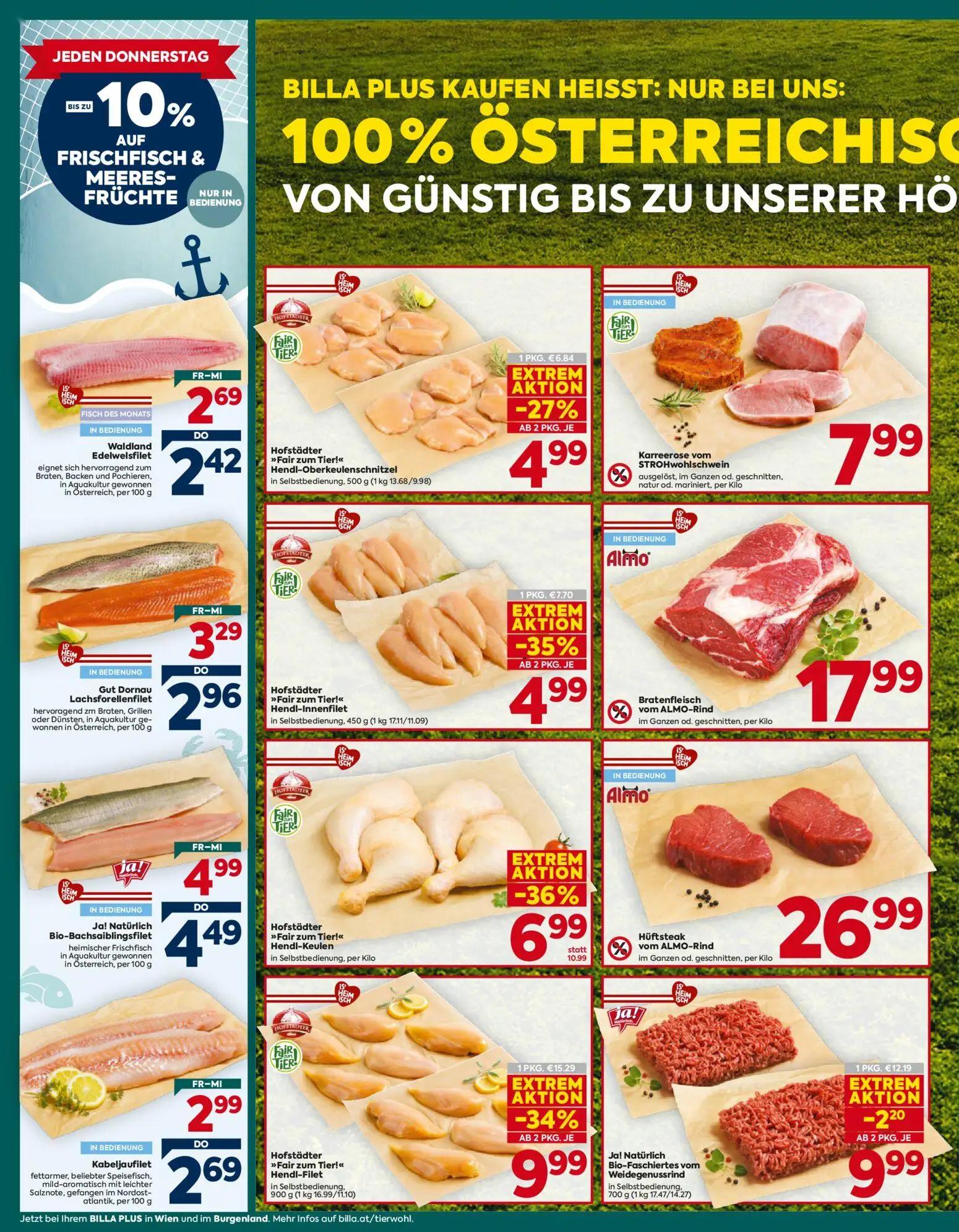Billa Plus Prospekt, Seite 6 von 16 — Hofstädter "Fair zum Tier!" Hendl-Filet, Hofstädter "Fair zum Tier!" Hendl-Keulen, Hof…